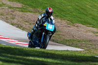 Oulton-Park-20th-March-2020;PJ-Motorsport-Photography-2020;anglesey;brands-hatch;cadwell-park;croft;donington-park;enduro-digital-images;event-digital-images;eventdigitalimages;mallory;no-limits;oulton-park;peter-wileman-photography;racing-digital-images;silverstone;snetterton;trackday-digital-images;trackday-photos;vmcc-banbury-run;welsh-2-day-enduro